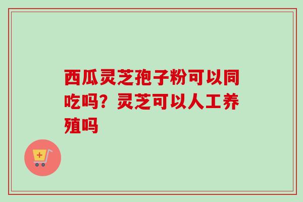 西瓜灵芝孢子粉可以同吃吗？灵芝可以人工养殖吗