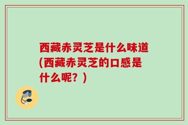 西藏赤灵芝是什么味道(西藏赤灵芝的口感是什么呢？)