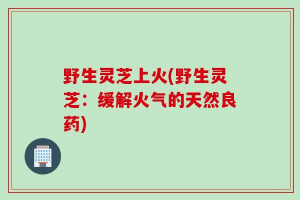 野生灵芝上火(野生灵芝:缓解火气的天然良药) 野生灵芝上火(野生灵芝:缓解火气的天然良药)