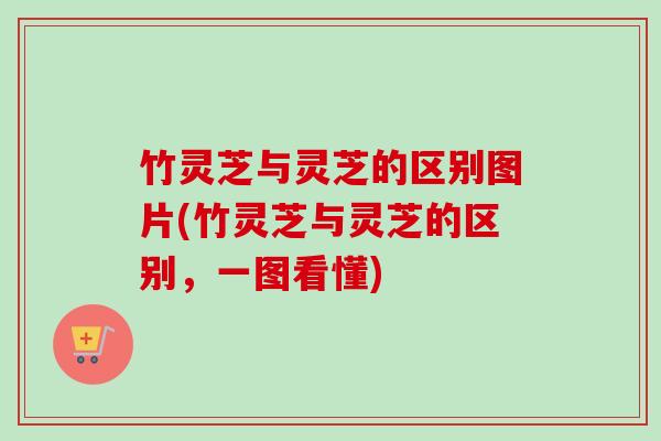 竹灵芝与灵芝的区别图片(竹灵芝与灵芝的区别，一图看懂)