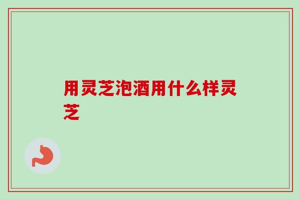 用灵芝泡酒用什么样灵芝