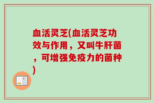 活灵芝(活灵芝功效与作用,又叫牛菌,可增强免疫力的菌种) 活灵芝(活灵芝功效与作用,又叫牛菌,可增强免疫力的菌种)