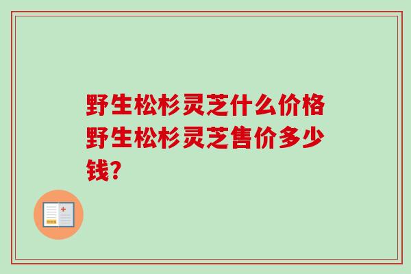 野生松杉灵芝什么价格野生松杉灵芝售价多少钱? 野生松杉灵芝什么价格野生松杉灵芝售价多少钱?