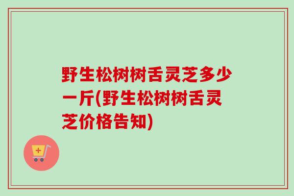 野生松树树舌灵芝多少一斤(野生松树树舌灵芝价格告知)