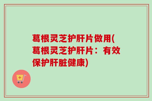 葛根灵芝片做用(葛根灵芝片：有效保护健康)