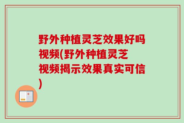 野外种植灵芝效果好吗视频(野外种植灵芝 视频揭示效果真实可信) 野外种植灵芝效果好吗视频(野外种植灵芝 视频揭示效果真实可信)