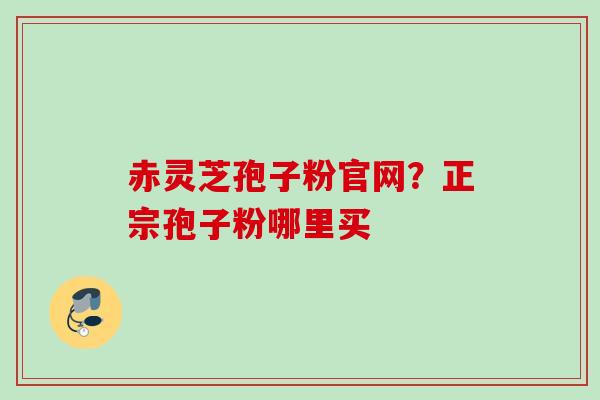 赤灵芝孢子粉官网?正宗孢子粉哪里买 赤灵芝孢子粉官网?正宗孢子粉哪里买