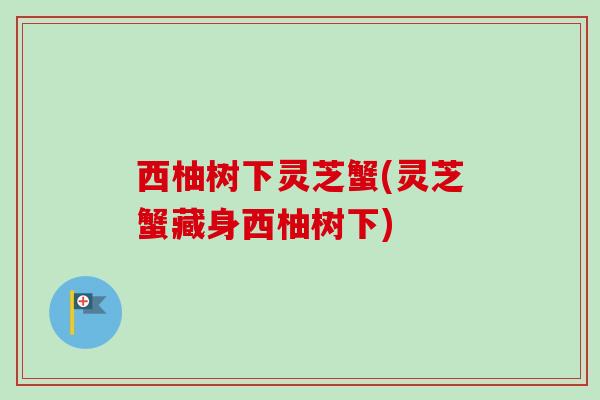 西柚树下灵芝蟹(灵芝蟹藏身西柚树下) 西柚树下灵芝蟹(灵芝蟹藏身西柚树下)