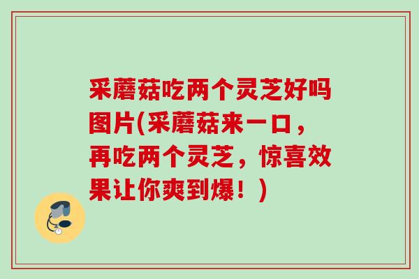 采蘑菇吃两个灵芝好吗图片(采蘑菇来一口,再吃两个灵芝,惊喜效果让你爽到爆!) 采蘑菇吃两个灵芝好吗图片(采蘑菇来一口,再吃两个灵芝,惊喜效果让你爽到爆!)