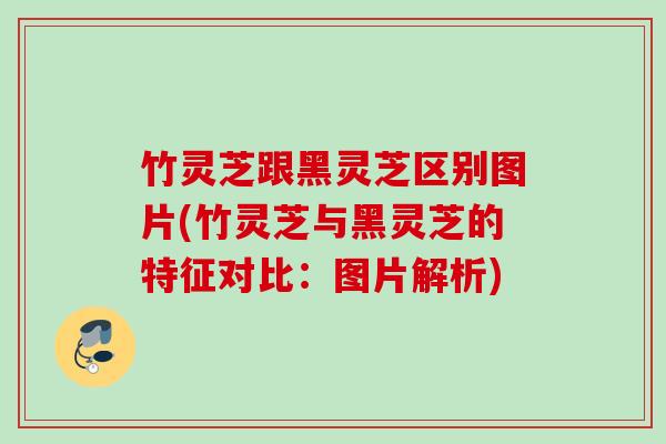 竹灵芝跟黑灵芝区别图片(竹灵芝与黑灵芝的特征对比：图片解析)