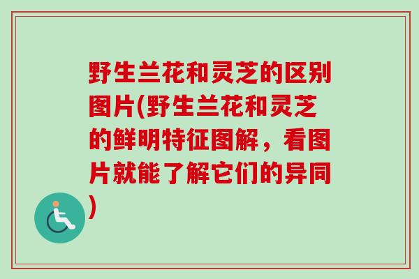 野生兰花和灵芝的区别图片(野生兰花和灵芝的鲜明特征图解，看图片就能了解它们的异同)