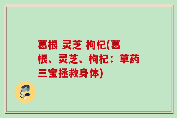 葛根 灵芝 枸杞(葛根、灵芝、枸杞:草药三宝拯救身体) 葛根 灵芝 枸杞(葛根、灵芝、枸杞:草药三宝拯救身体)