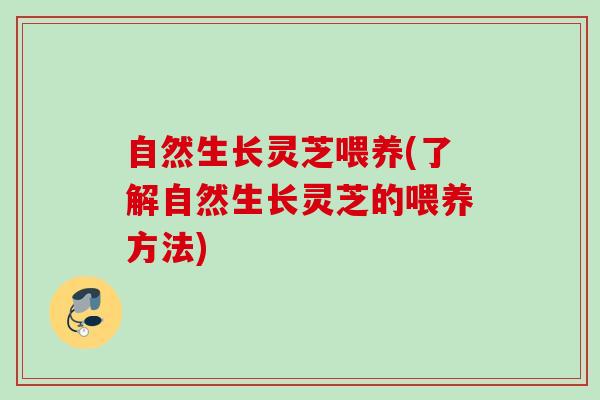 自然生长灵芝喂养(了解自然生长灵芝的喂养方法)