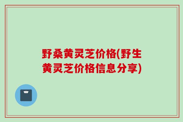 野桑黄灵芝价格(野生黄灵芝价格信息分享)