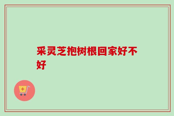 采灵芝抱树根回家好不好