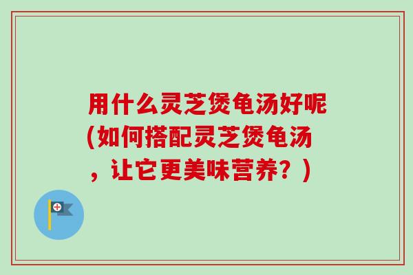 用什么灵芝煲龟汤好呢(如何搭配灵芝煲龟汤,让它更美味营养?) 用什么灵芝煲龟汤好呢(如何搭配灵芝煲龟汤,让它更美味营养?)