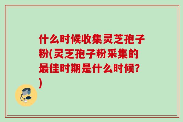 什么时候收集灵芝孢子粉(灵芝孢子粉采集的最佳时期是什么时候？)