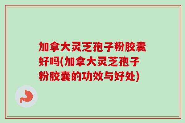 加拿大灵芝孢子粉胶囊好吗(加拿大灵芝孢子粉胶囊的功效与好处)