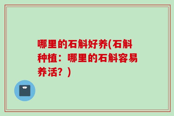 哪里的石斛好养(石斛种植：哪里的石斛容易养活？)