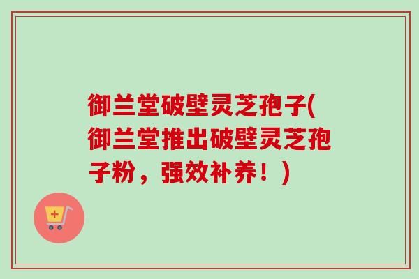 御兰堂破壁灵芝孢子(御兰堂推出破壁灵芝孢子粉，强效补养！)