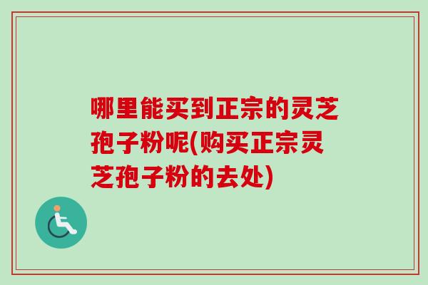 哪里能买到正宗的灵芝孢子粉呢(购买正宗灵芝孢子粉的去处)