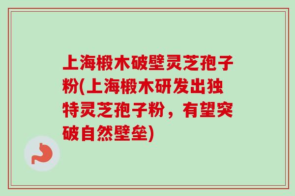 上海椴木破壁灵芝孢子粉(上海椴木研发出独特灵芝孢子粉，有望突破自然壁垒)