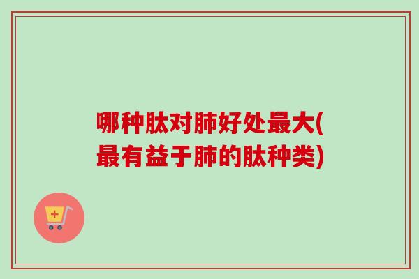 哪种肽对肺好处最大(最有益于肺的肽种类)