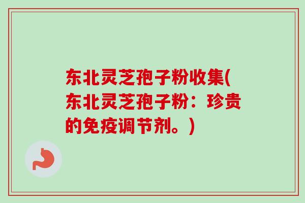 东北灵芝孢子粉收集(东北灵芝孢子粉：珍贵的免疫调节剂。)