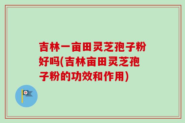 吉林一亩田灵芝孢子粉好吗(吉林亩田灵芝孢子粉的功效和作用)