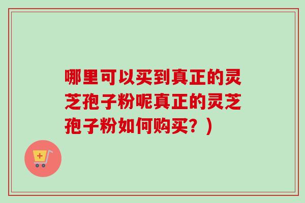 哪里可以买到真正的灵芝孢子粉呢真正的灵芝孢子粉如何购买？)
