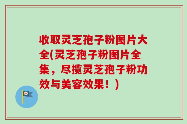 收取灵芝孢子粉图片大全(灵芝孢子粉图片全集，尽揽灵芝孢子粉功效与美容效果！)