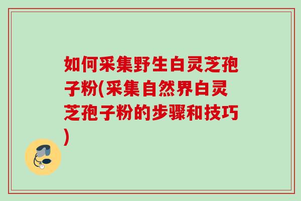 如何采集野生白灵芝孢子粉(采集自然界白灵芝孢子粉的步骤和技巧)