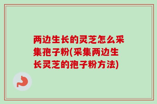 两边生长的灵芝怎么采集孢子粉(采集两边生长灵芝的孢子粉方法)