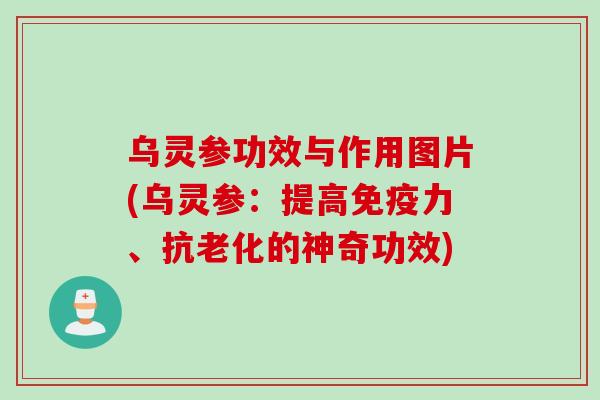 乌灵参功效与作用图片(乌灵参：提高免疫力、抗老化的神奇功效)