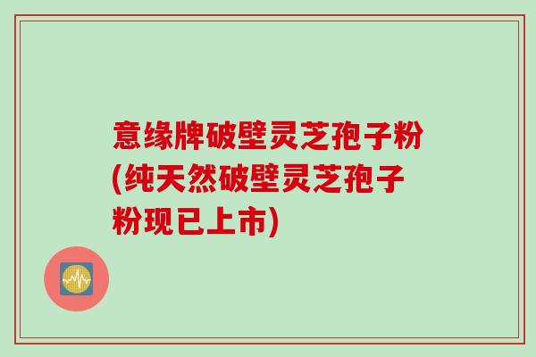 意缘牌破壁灵芝孢子粉(纯天然破壁灵芝孢子粉现已上市)
