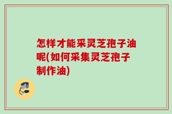 怎样才能采灵芝孢子油呢(如何采集灵芝孢子制作油)