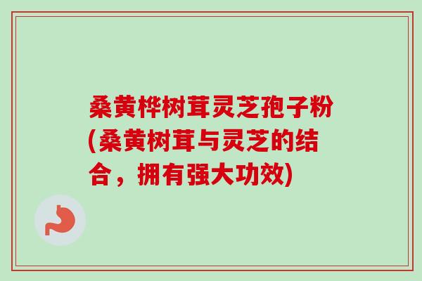 桑黄桦树茸灵芝孢子粉(桑黄树茸与灵芝的结合，拥有强大功效)