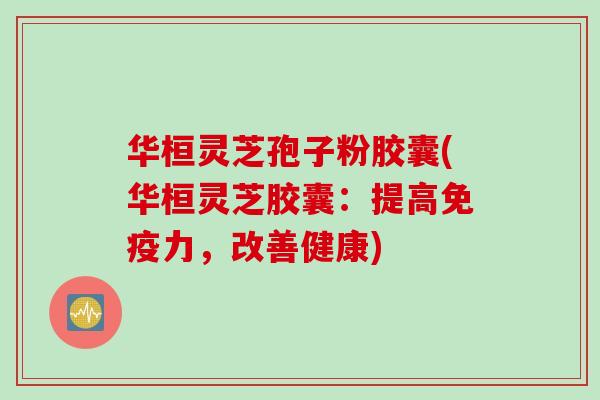 华桓灵芝孢子粉胶囊(华桓灵芝胶囊：提高免疫力，改善健康)
