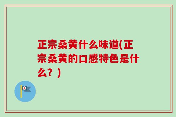 正宗桑黄什么味道(正宗桑黄的口感特色是什么？)