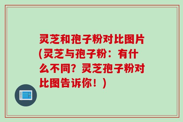 灵芝和孢子粉对比图片(灵芝与孢子粉：有什么不同？灵芝孢子粉对比图告诉你！)