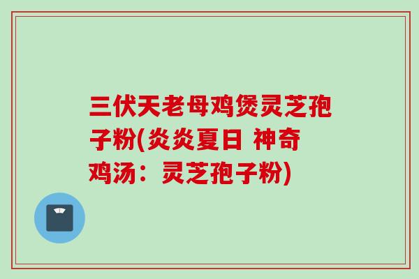 三伏天老母鸡煲灵芝孢子粉(炎炎夏日 神奇鸡汤：灵芝孢子粉)
