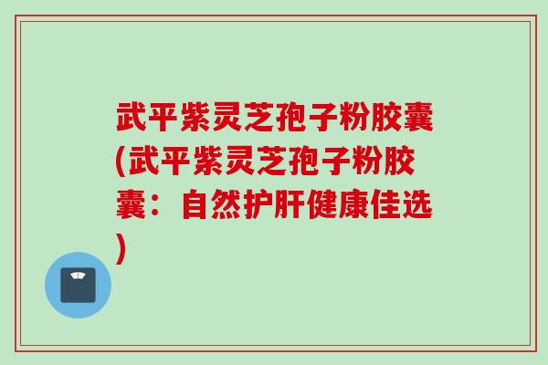 武平紫灵芝孢子粉胶囊(武平紫灵芝孢子粉胶囊:自然健康佳选) 武平紫灵芝孢子粉胶囊(武平紫灵芝孢子粉胶囊:自然健康佳选)