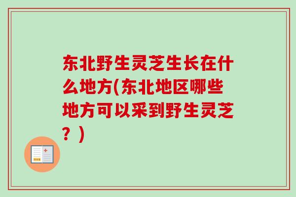 东北野生灵芝生长在什么地方(东北地区哪些地方可以采到野生灵芝？)