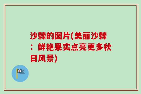 沙棘的图片(美丽沙棘：鲜艳果实点亮更多秋日风景)