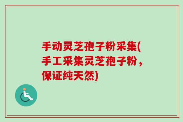 手动灵芝孢子粉采集(手工采集灵芝孢子粉，保证纯天然)