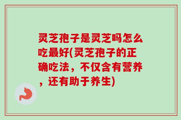 灵芝孢子是灵芝吗怎么吃最好(灵芝孢子的正确吃法，不仅含有营养，还有助于养生)