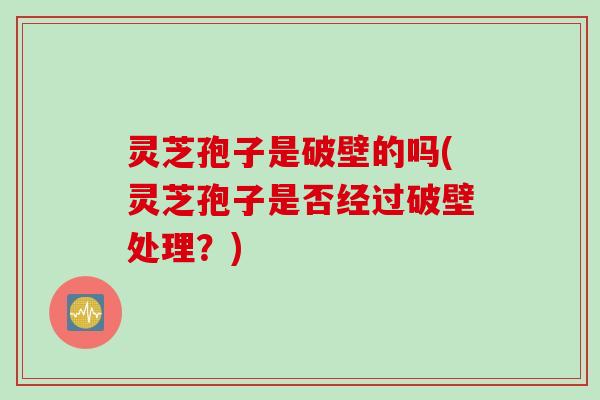 灵芝孢子是破壁的吗(灵芝孢子是否经过破壁处理？)