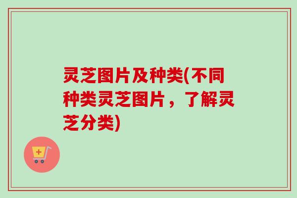 灵芝图片及种类(不同种类灵芝图片，了解灵芝分类)