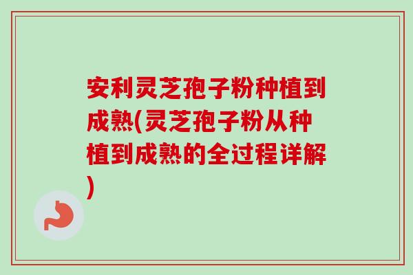 安利灵芝孢子粉种植到成熟(灵芝孢子粉从种植到成熟的全过程详解)