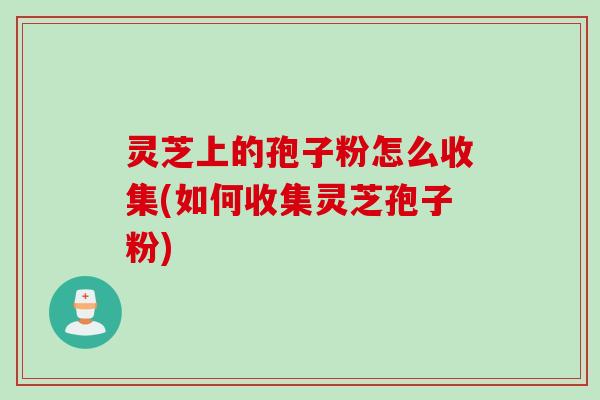 灵芝上的孢子粉怎么收集(如何收集灵芝孢子粉)